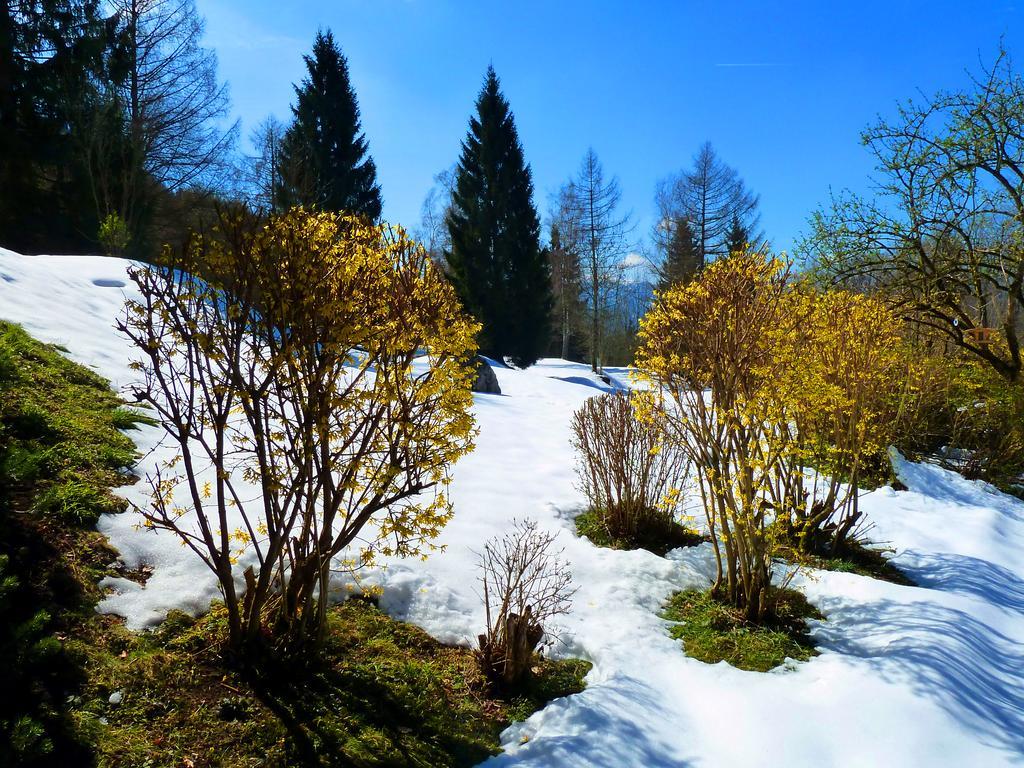 Romantikhotel Die Gersberg Alm Solnohrad Exteriér fotografie