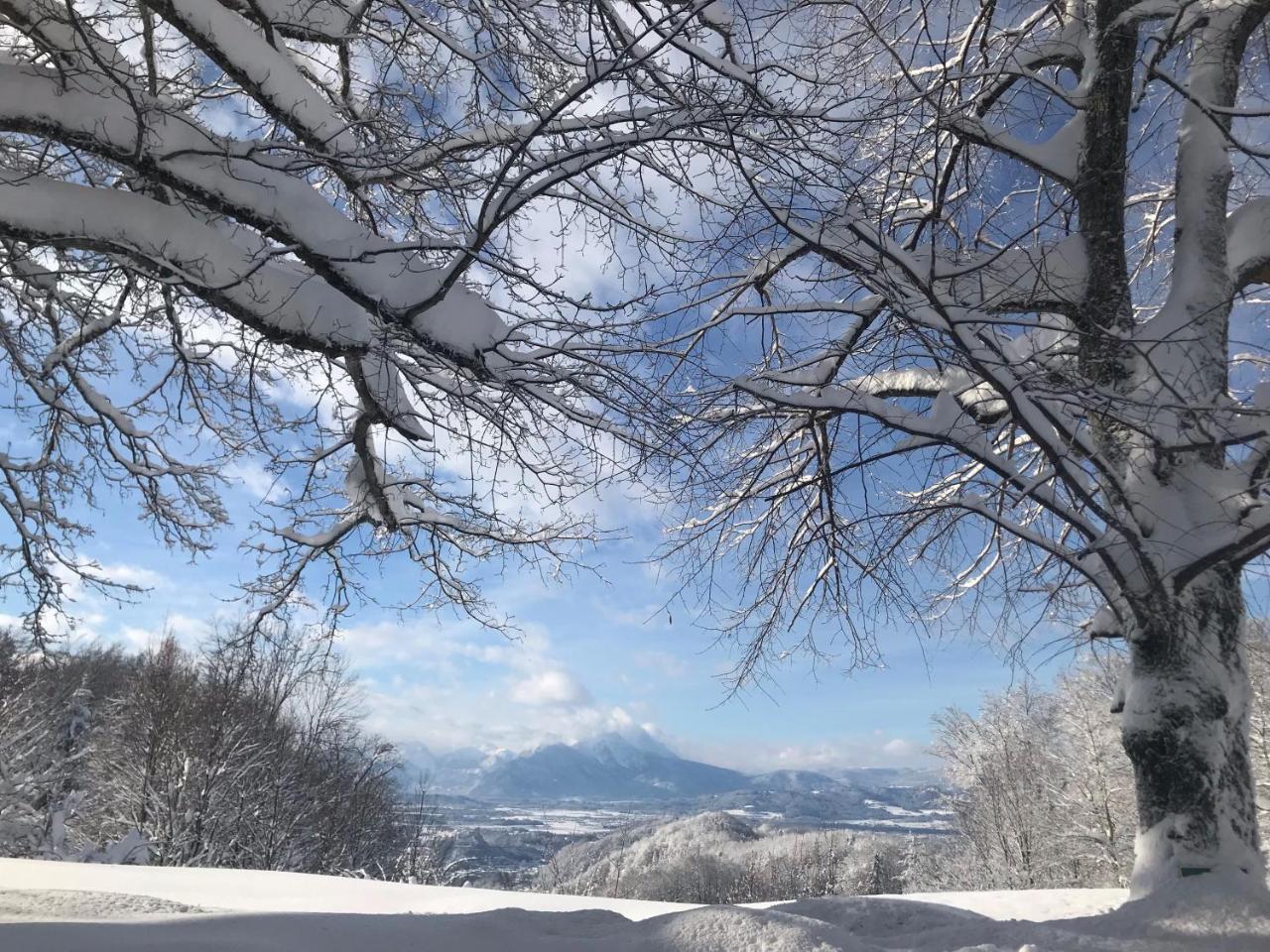 Romantikhotel Die Gersberg Alm Solnohrad Exteriér fotografie